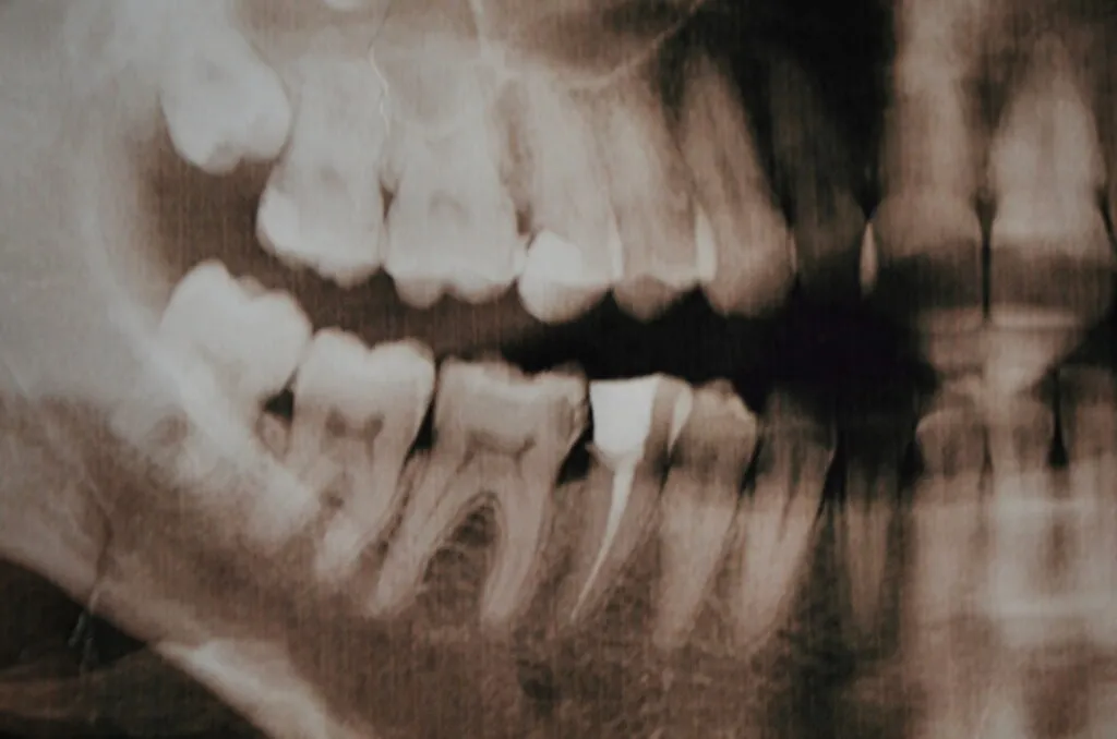 Depositphotos 168233300 L