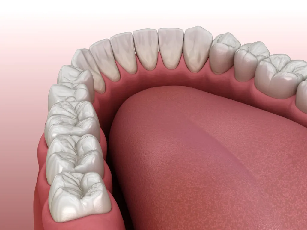 Mandibular human tongue and teeth. Medically accurate 3d illustration