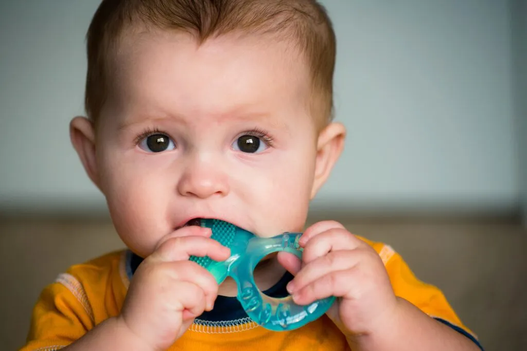 Baby biting teething toy