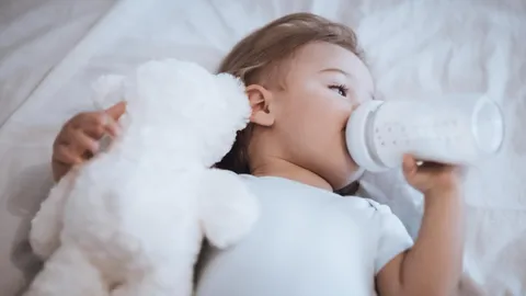 What Is Bottle Rot and How Do You Prevent It?