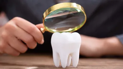 What Are Teeth Made of? Are They Bones?