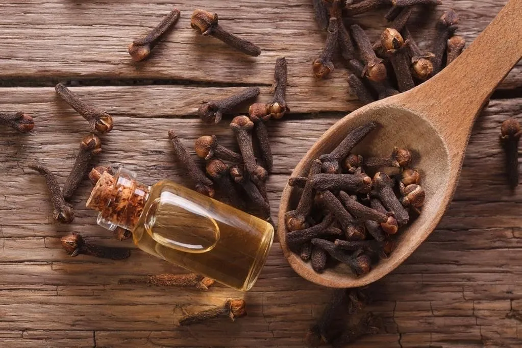 Clove oil in small bottle beside cloves in wooden spoon
