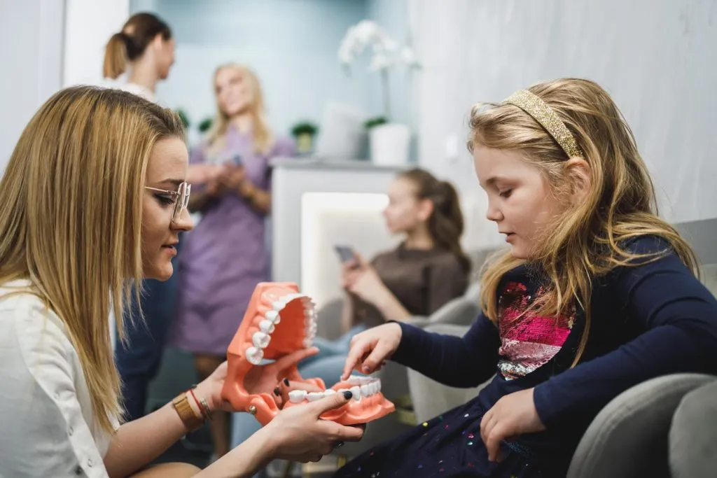 Dentist showing young girl 3d teeth model