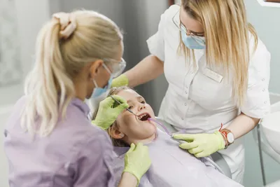 Dental Health for Australians: Resources and Websites