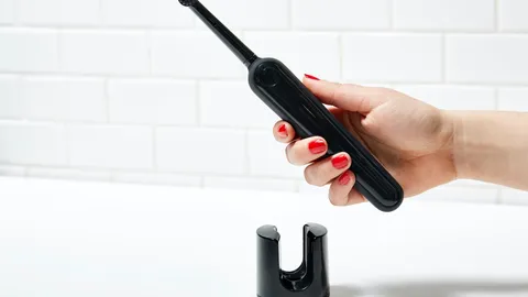 Burst Sonic Toothbrush Review: Benefits, Features & Competitors