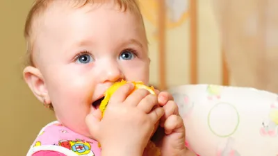 How Long Does Teething Last? - Monthly Guide to Teething