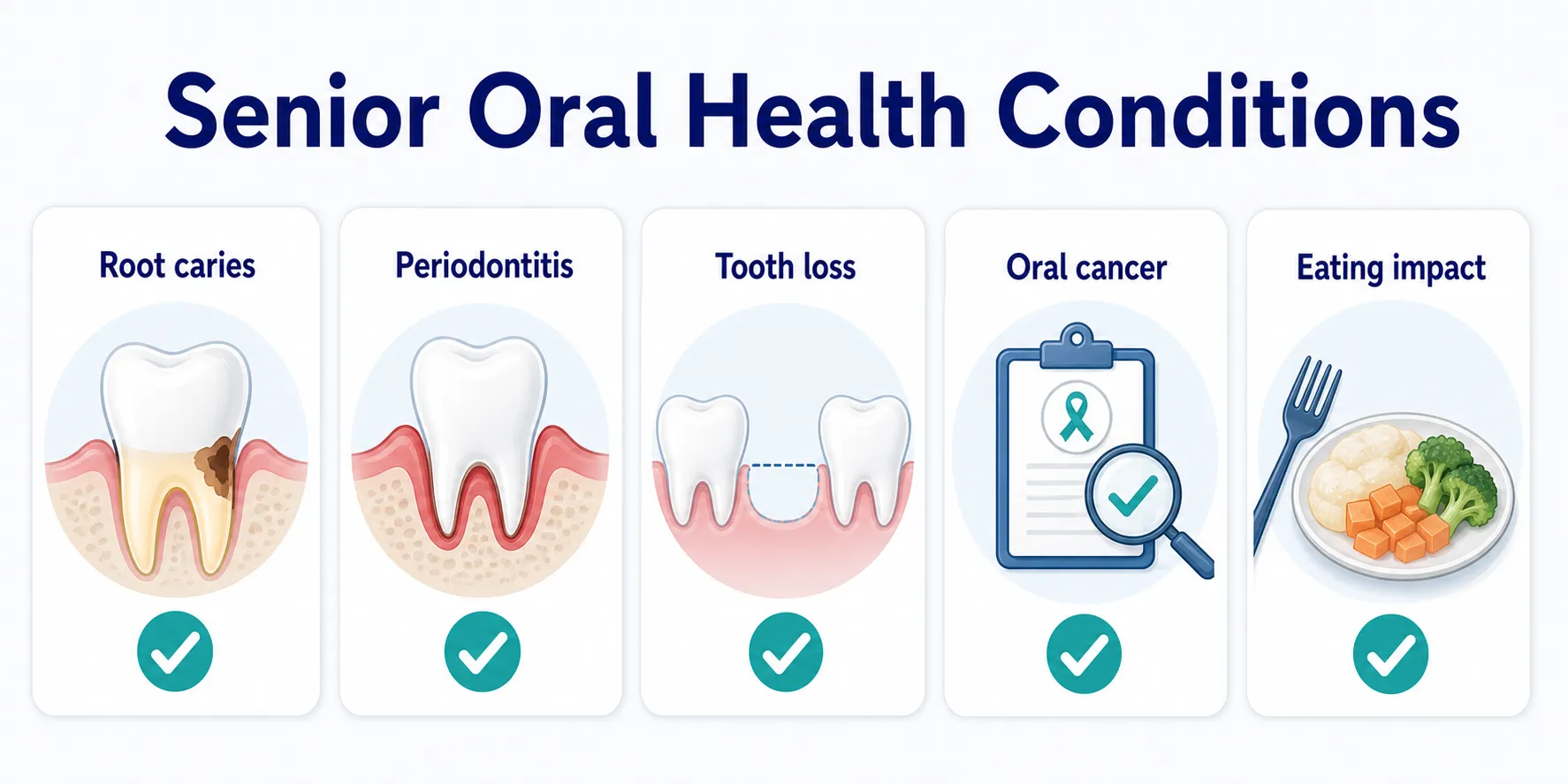 Key Conditions In Seniors condition overview board covering Root caries, Periodontitis, Tooth loss, Oral cancer, Eating impact
