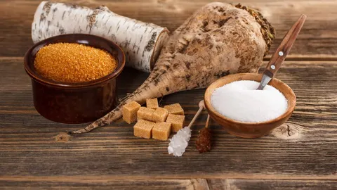 Xylitol's Effects on Your Oral Health